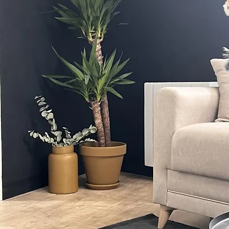 Apartment Myakaappartement Boho *